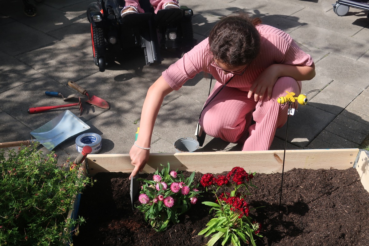 072023Blumenbeet29